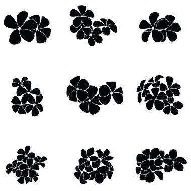 frangipani siluet seti