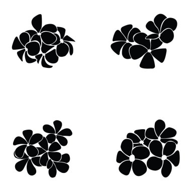 frangipani siluet seti