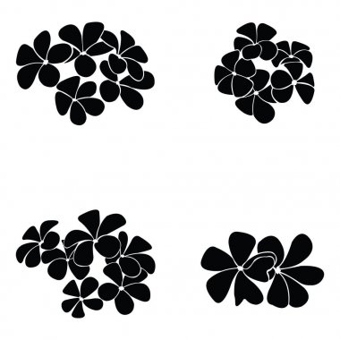 frangipani siluet seti