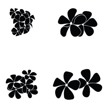 frangipani siluet seti