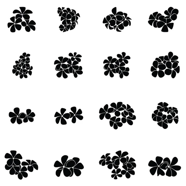 frangipani siluet seti