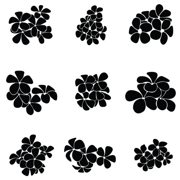 frangipani siluet seti