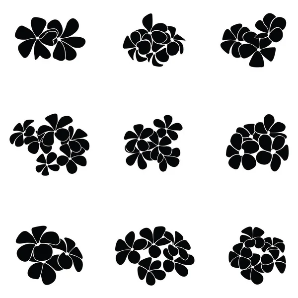 frangipani siluet seti