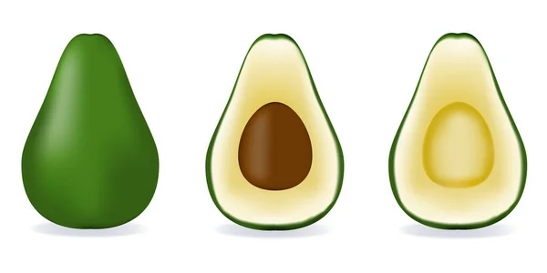 Avocado elszigetelt fehér alapon, mint a csomag design compositi — Stock Vector