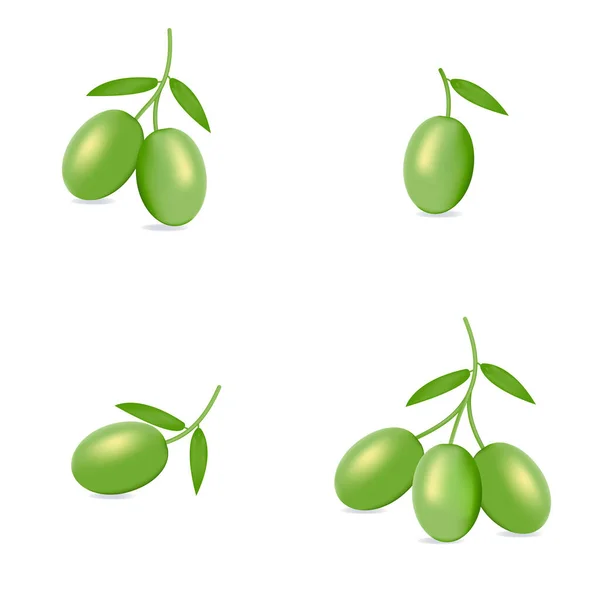 绿色橄榄，白色背景作为包装设计组合 — 图库矢量图片