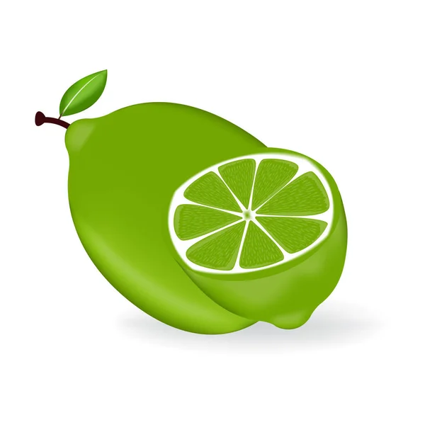 Fruits Citron Vert Frais Avec Feuille — Image vectorielle