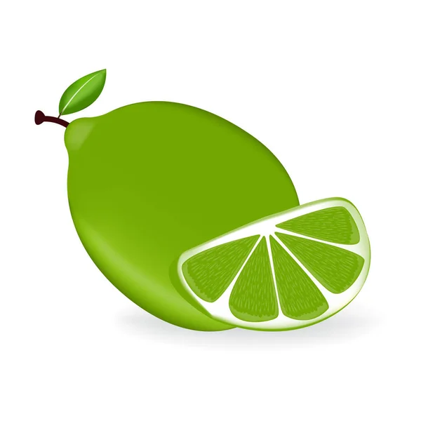 Φρέσκα Πράσινα Φρούτα Λεμόνι Φύλλα — Διανυσματικό Αρχείο