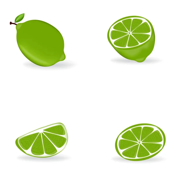 Frische Grüne Zitronenfrüchte Mit Blatt — Stockvektor