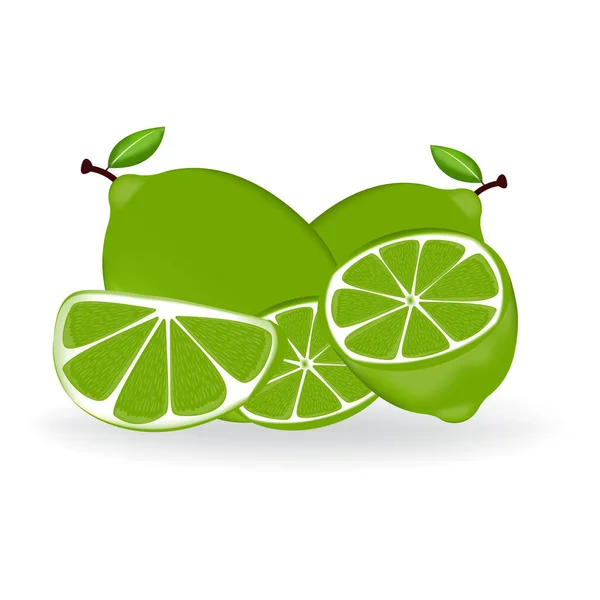 Fruits Citron Vert Frais Avec Feuille — Image vectorielle