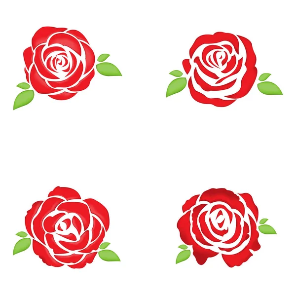 Rosa Hojas Aisladas Sobre Fondo Blanco — Vector de stock