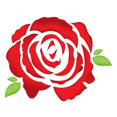 gül ve yapraklar izole Beyaz arkaplanda