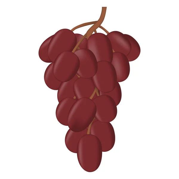 Ramo Fresco Realista Uvas Sobre Fondo Blanco — Vector de stock