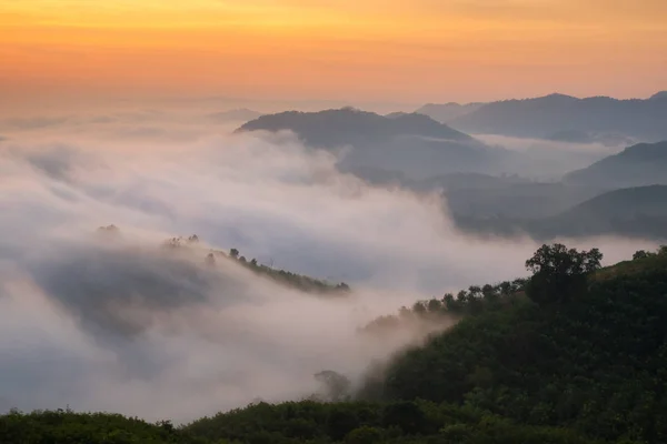 Geweldige natuur mist bewegen over de bergen aard tijdens zonsopgang in de tijd van de ochtend — Stockfoto