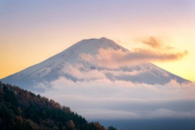 Kawaguchiko, Fuji Dağı'nın görünümünü güzel doğal peyzaj