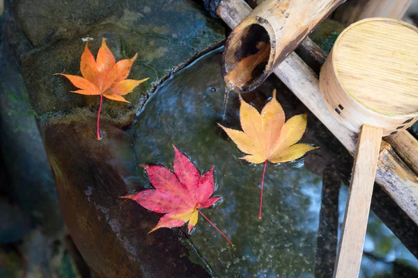 Japanese zen garden for relaxation balance and harmony spirituality
