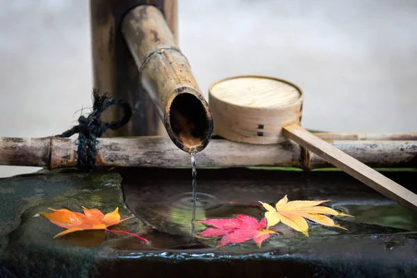 Japanese zen garden for relaxation balance and harmony spirituality