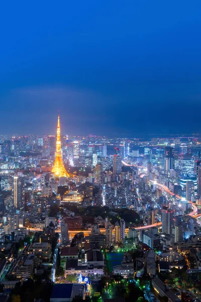 Cityscape view over Tokyo tower and Tokyo city — Stock Photo, Image