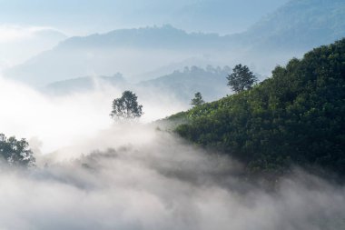 Görünüm harika sis doğa Dağları dağlar bölgesinde Tayland gündoğumu sırasında taşıma.