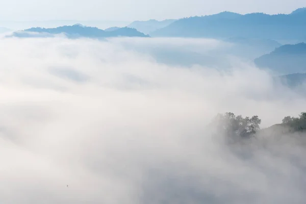 令人惊异的雾通过移动来自然山日出在泰国山区的视图. — 图库照片