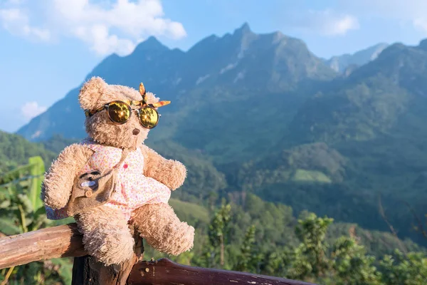 Bear doll sitting and relax in the morning time with nature mountain view in background — Stock Photo, Image