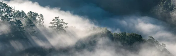 Panorama view of amazing mist moving over the nature mountains during sunrise at mountains area in Thailand. — Stock Photo, Image