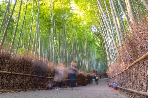 Japonya 'nın Kyoto kentindeki Arashiyama' da sonbahar mevsiminde güzel bambu ağaçları.. — Stok fotoğraf
