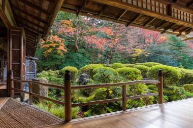 Güzel doğa renkli ağaç içinde Japon zen Kyoto, Japonya sonbahar mevsiminde Bahçe yaprak.