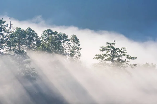 在泰国山区日出期间, 在自然山脉上空移动的奇妙薄雾. — 图库照片