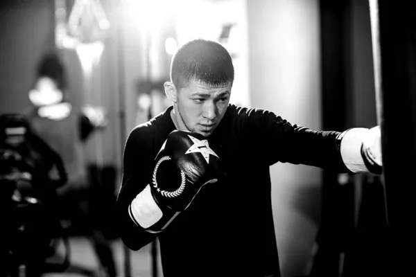 En koncentrerad professionell boxare träffar en boxningssäck. — Stockfoto