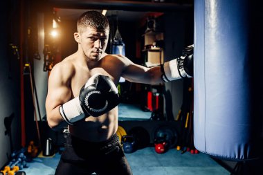 Boksör kum torbası eğitimi alıyor. Portre