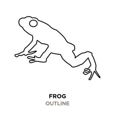 Kurbağa Anahat Beyaz arka plan üzerinde