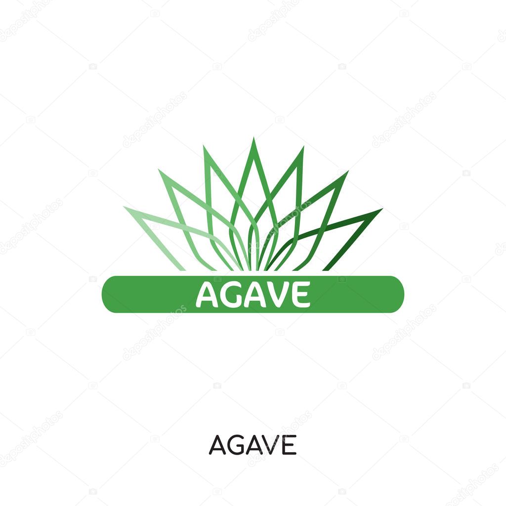 Agave logo isolated on white background for your web, mobile and app design