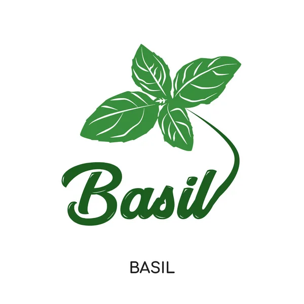 Basil logo isolated on white background for your web, mobile and — Stock Vector