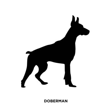 Doberman siluet beyaz arka plan formu profili üzerinde