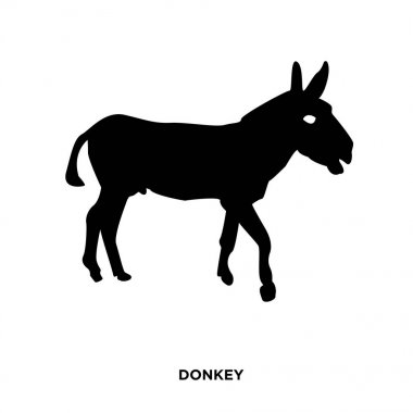 eşek siluet siyah beyaz arka plan üzerinde