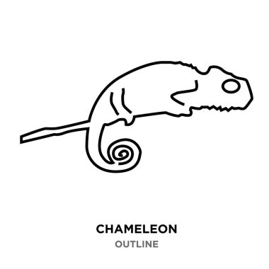 Bukalemun Anahat Beyaz arka plan üzerinde