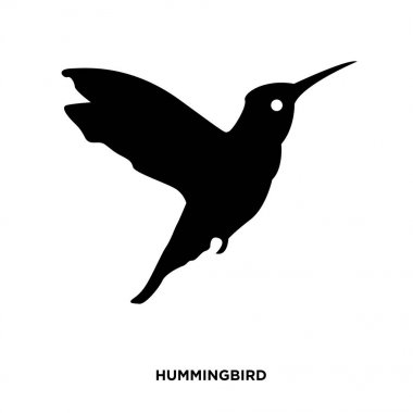 sinek kuşu siluet siyah beyaz bbackground üzerinde