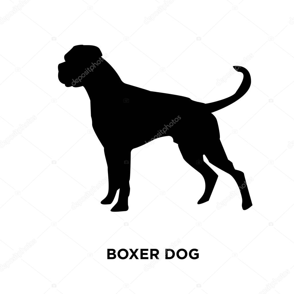 Svg Boxer Dog Silhouette - 260+ DXF Include