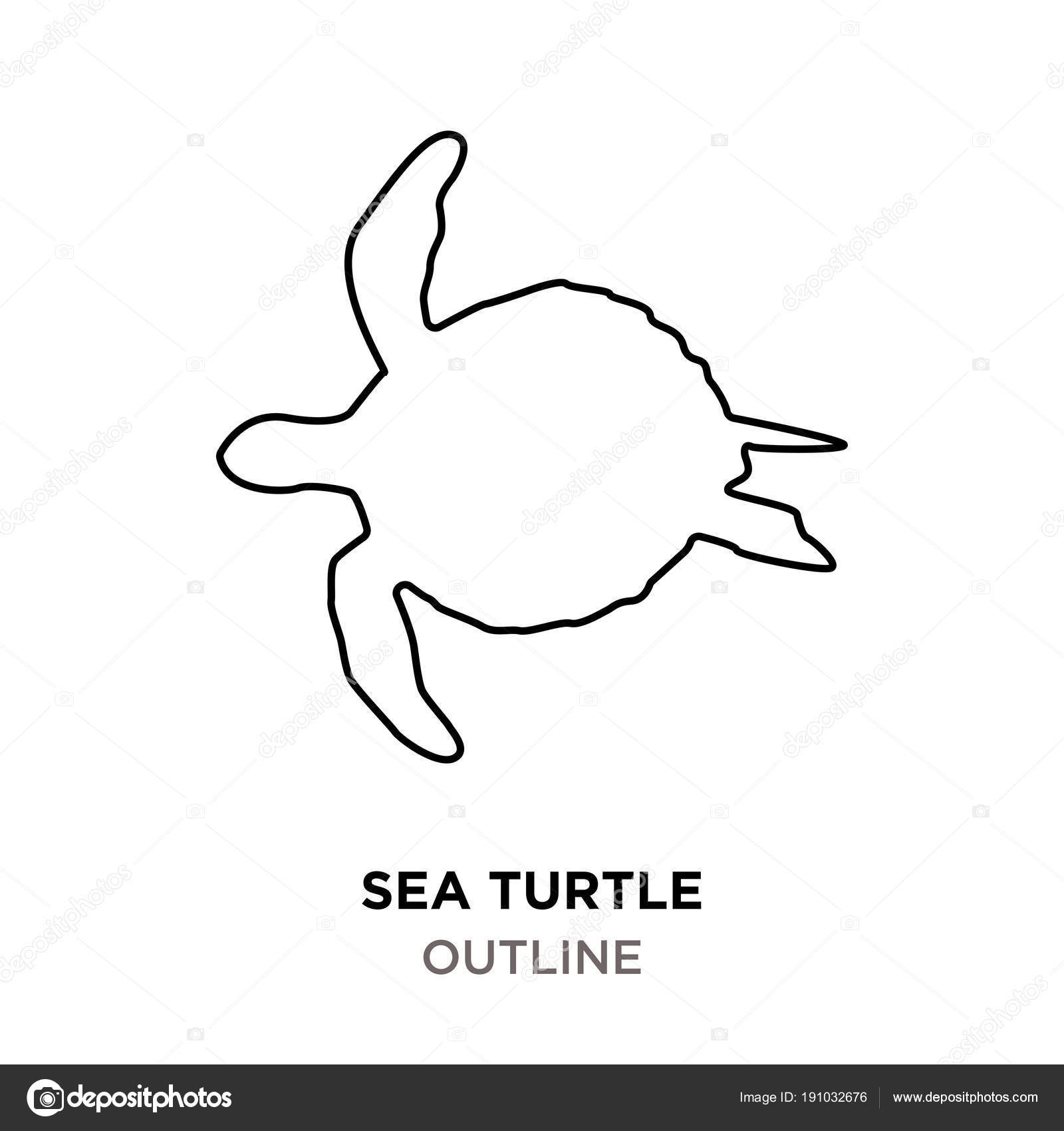 sea turtle outlines sea turtle outline on white background stock vector c vectorgalaxy 191032676 https depositphotos com 191032676 stock illustration sea turtle outline on white html