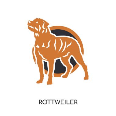web, mobil için beyaz arka plan üzerinde izole rottweiler logosu