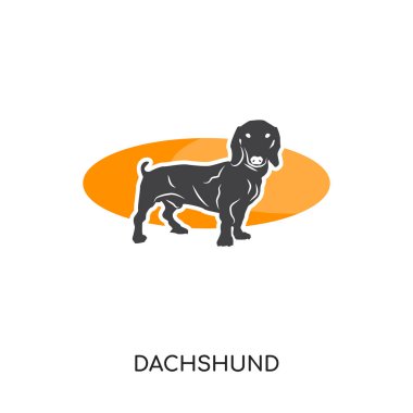 web, mobil için beyaz arka plan üzerinde izole dachshund logosu