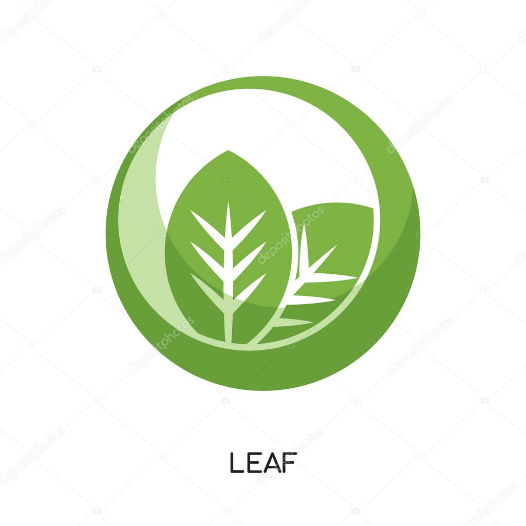 Leaf logo png isolated on white background for your web and mobile app design , colorful vector icon, brand sign & symbol for your business