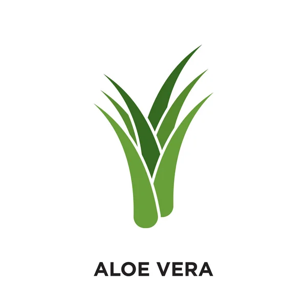 Logotipo de aloe vera aislado sobre fondo blanco, vector colorido ic — Vector de stock