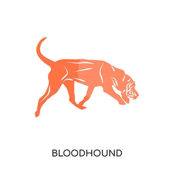 Logo van de bloedhond geïsoleerd op een witte achtergrond, kleurrijke vector ik — Stockvector