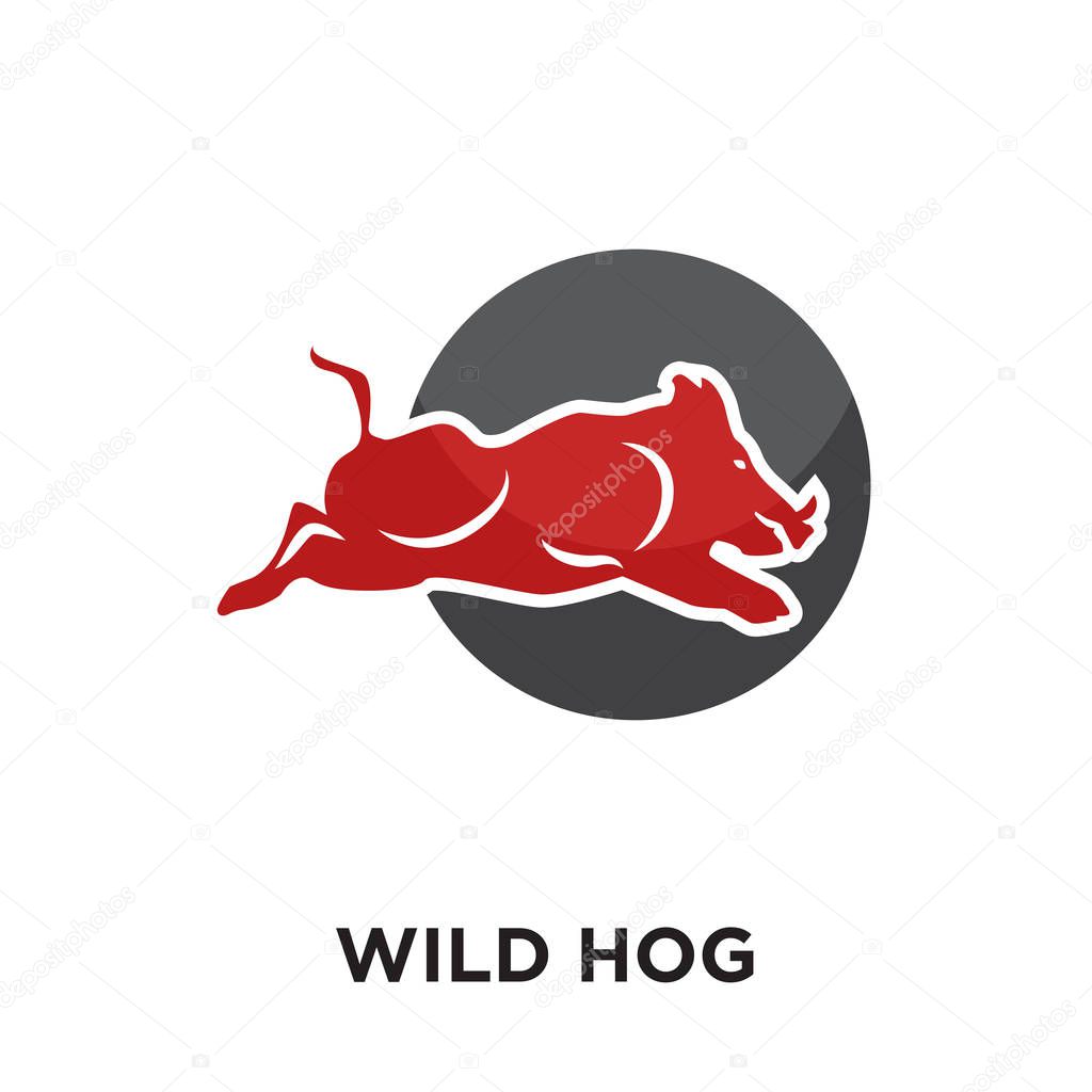 wild hog logo isolated on white background , colorful vector ico