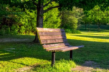 Parkta günbatımı güneş ışınlarının eş ağaçların arasından ve dinlenme üzerinde izole bir tezgah.