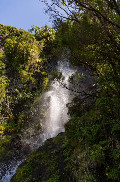 Kraften Vatten Madeira Portugal — Stockfoto