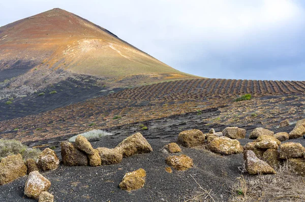 Camino Caldereta Geria Lanzarote Canarische Eilanden Spanje — Stockfoto