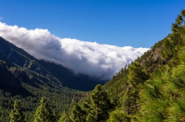 Çalışırken bulutların üzerinde Caldera de Taburiente, bakış açısı Cumbrecita, La Palma, Canary Islands, İspanya
