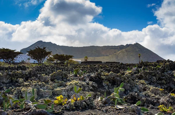 Blick Auf Die Caldera Corona Bei Lanzarote Kanarische Inseln — Stockfoto